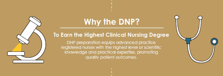 dnp degree