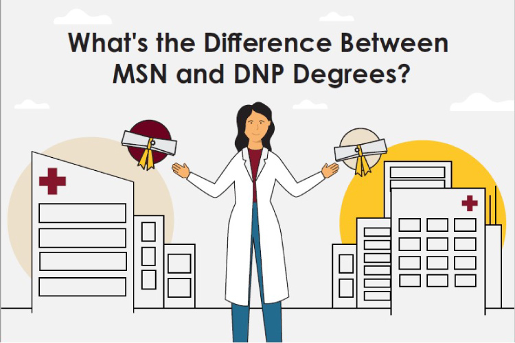 msn vs dnp